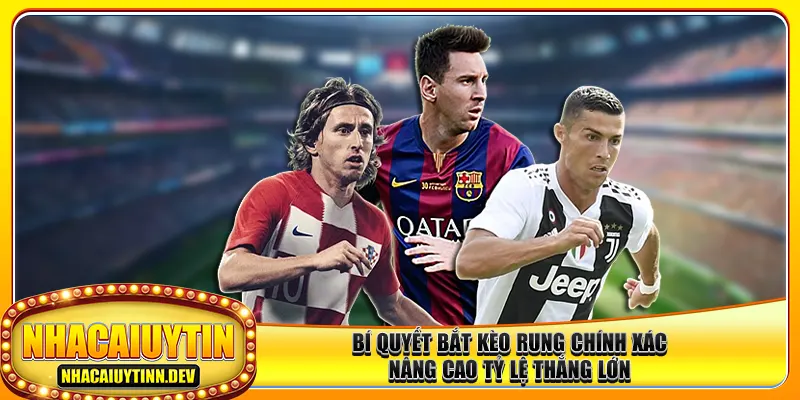 Bí Quyết Bắt Kèo Rung Chính Xác, Nâng Cao Tỷ Lệ Thắng Lớn