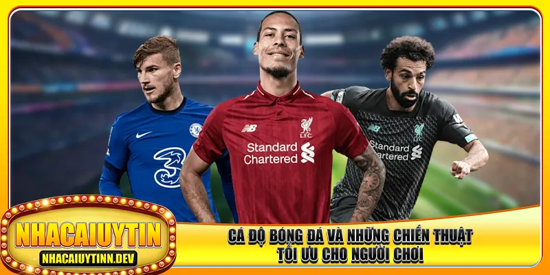 Cá Độ Bóng Đá Và Những Chiến Thuật Tối Ưu Cho Người Chơi
