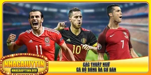 cac-thuat-ngu-ca-do-bong-da-co-ban