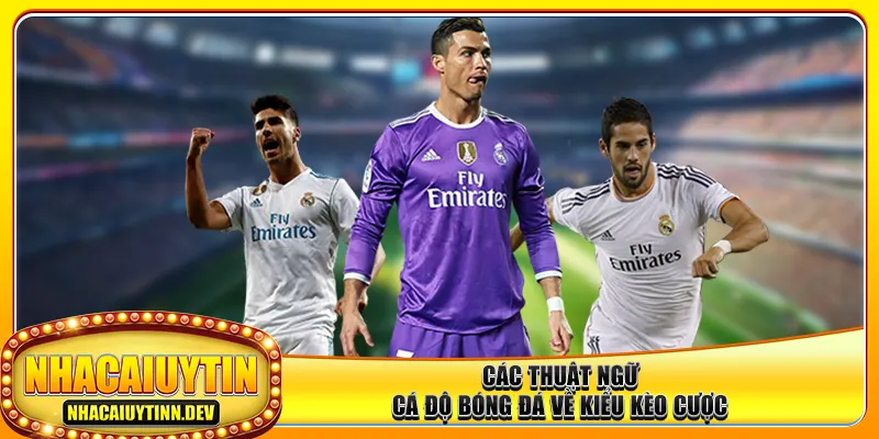 Các thuật ngữ cá độ bóng đá về kiểu kèo cược