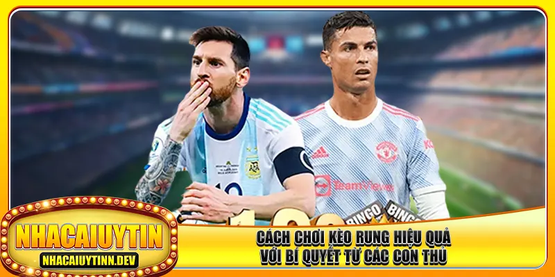 Cách chơi kèo rung hiệu quả với bí quyết từ các con thủ