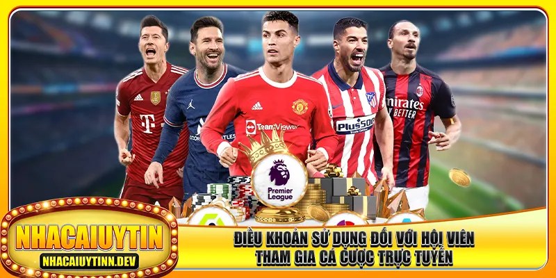 dieu-khoan-su-dung-doi-voi-hoi-vien-tham-gia-ca-cuoc-truc-tuyen