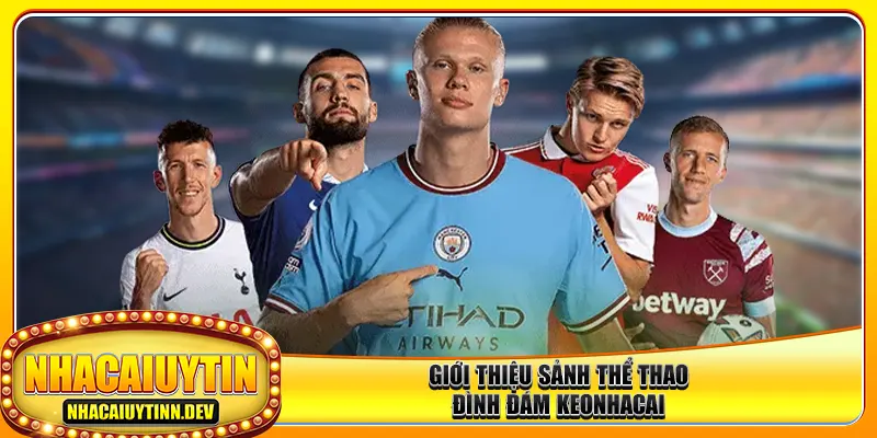Giới thiệu sảnh thể thao đình đám keonhacai