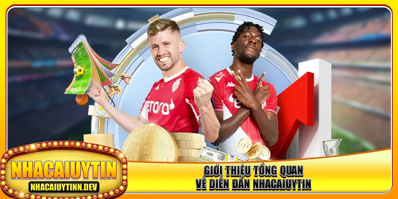 Giới thiệu tổng quan về diễn đàn nhacaiuytin