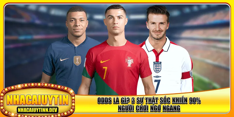 Odds Là Gì? 3 Sự Thật Sốc Khiến 90% Người Chơi Ngỡ Ngàng