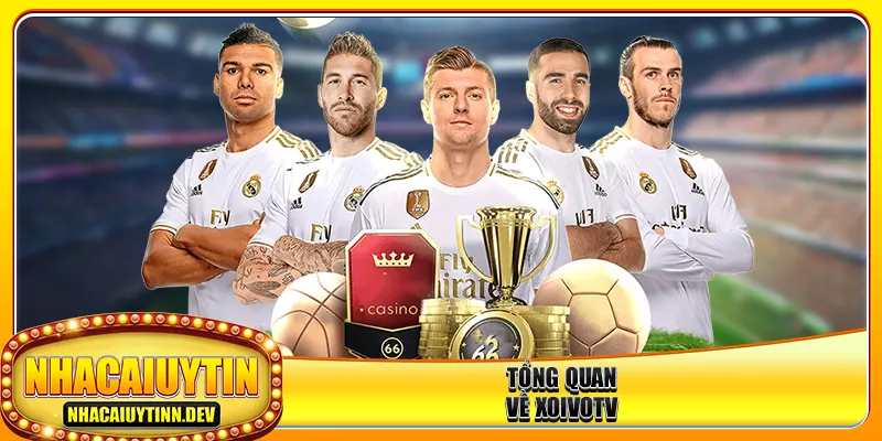 Tổng quan về xoivotv
